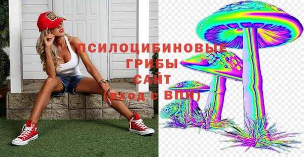 хмурый Белокуриха